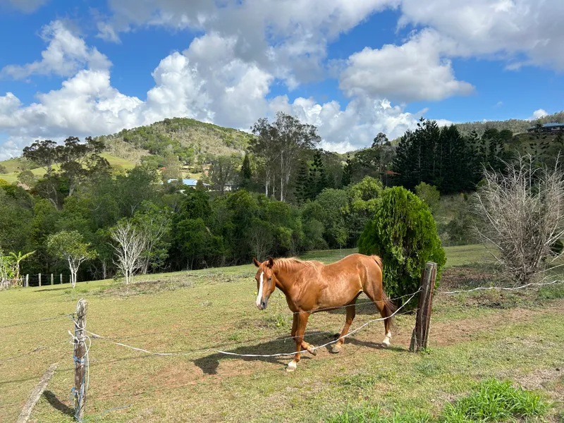 1 1/2 ACRE BLOCK WITH COUNTRY CHARM