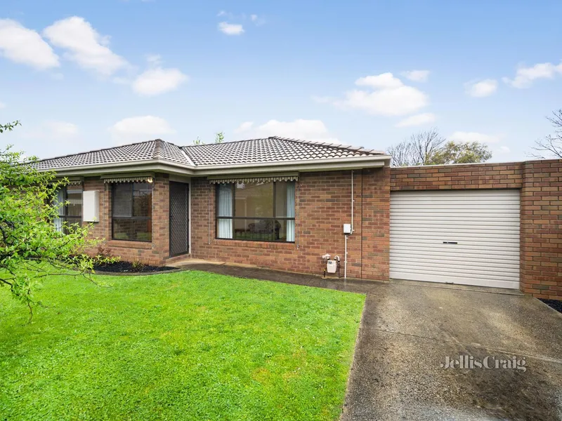 You’d be Silly not to buy Lilley