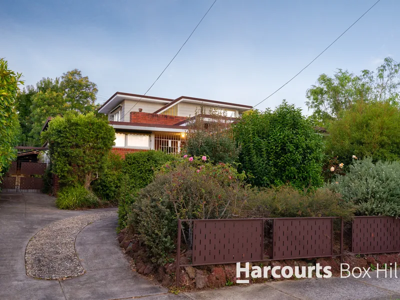Rich Family Character with Room to Grow in BHHS Zone