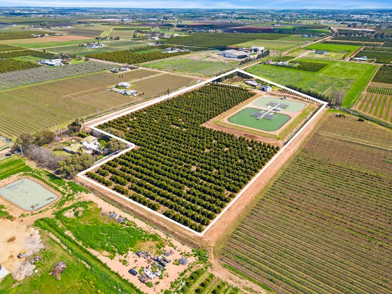 Idyllic lifestyle with Aquaculture and Citrus Incomes