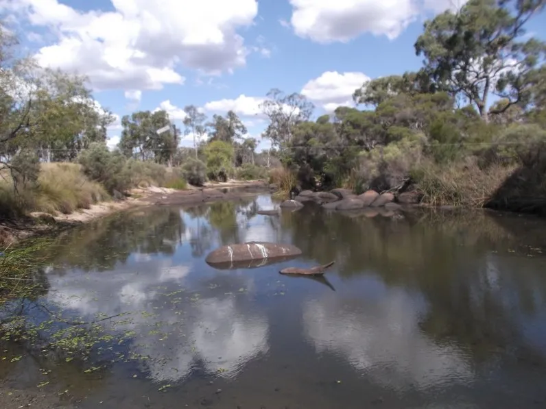GRAZING/HYDROPONICS/CULTIVATION