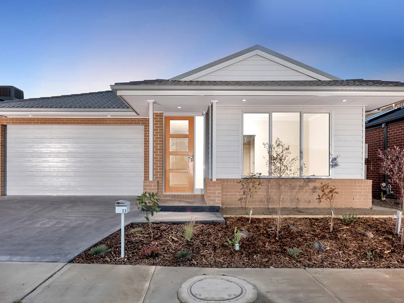 Perfect Family Starter