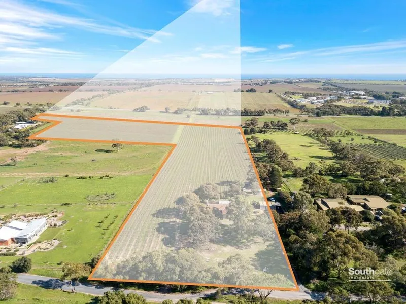 Quality Vineyard with Family Home on 7.97 ha