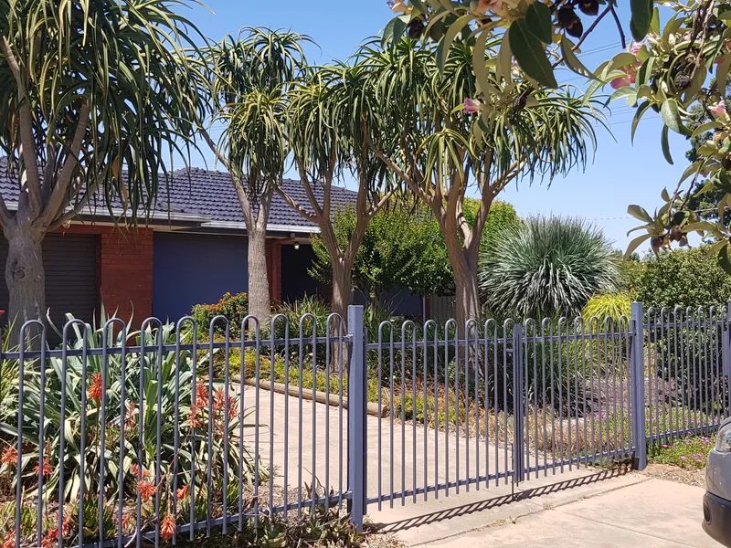 Opportunities Galore!