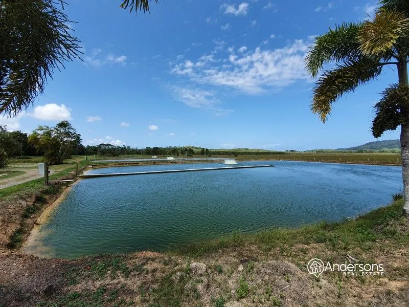 Magnificent Acreage with Home and Business