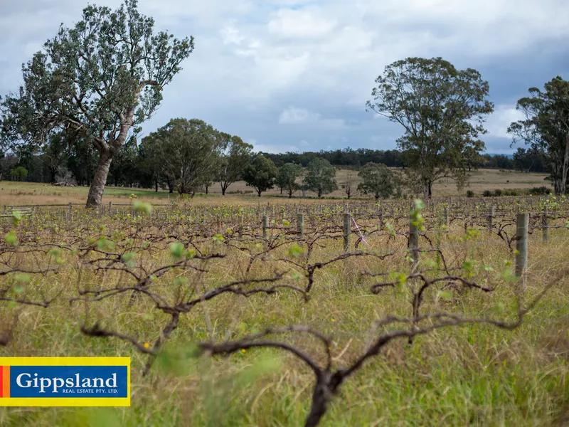 Spectacular Lifestyle Opportunity