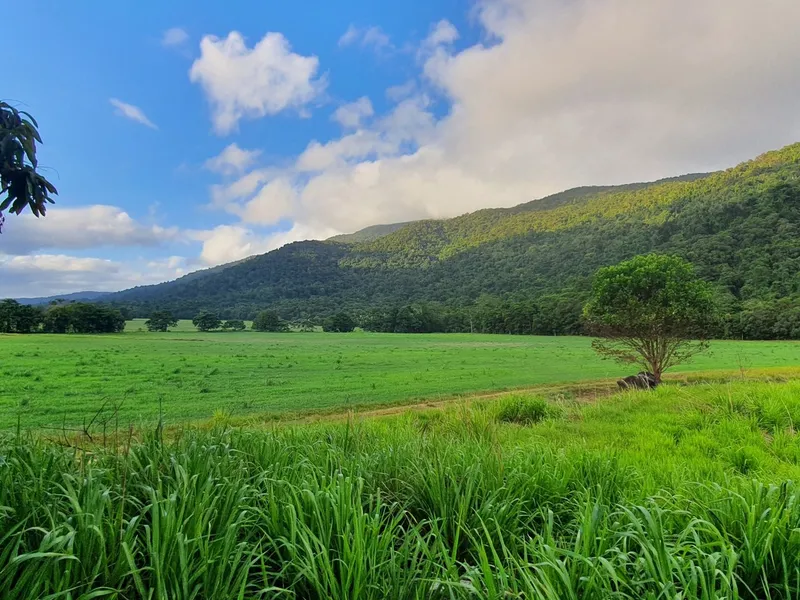 Lifestyle Acreage - Approx 74 Acres 40 Minutes South of Cairns
