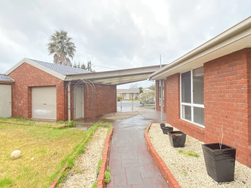 The Family Entertainer!!