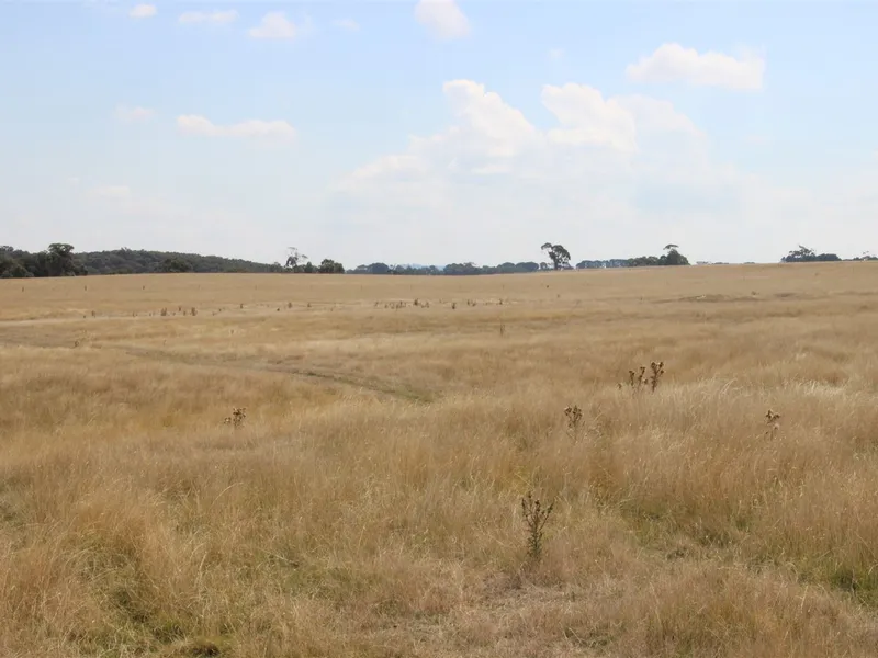 Terrific 99 acres on Ballan's edge
