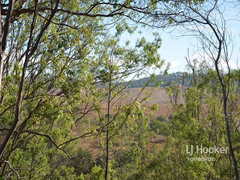 Mountain and Valley Views