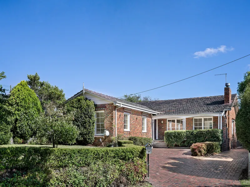 King of the Court with ideal family lifestyle