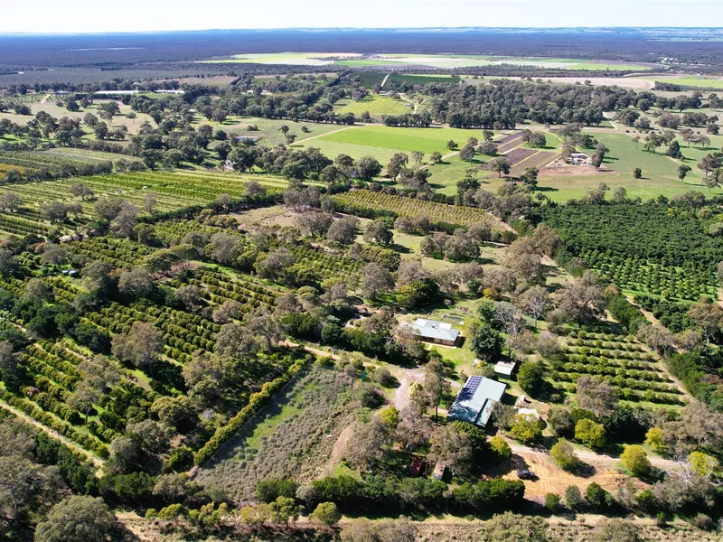 Lifestyle, Horticulture, Fruit, Veg, Multiple Opportunities