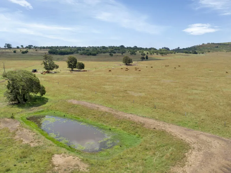 Beautiful Grazing Property with Merlwood Water Connected