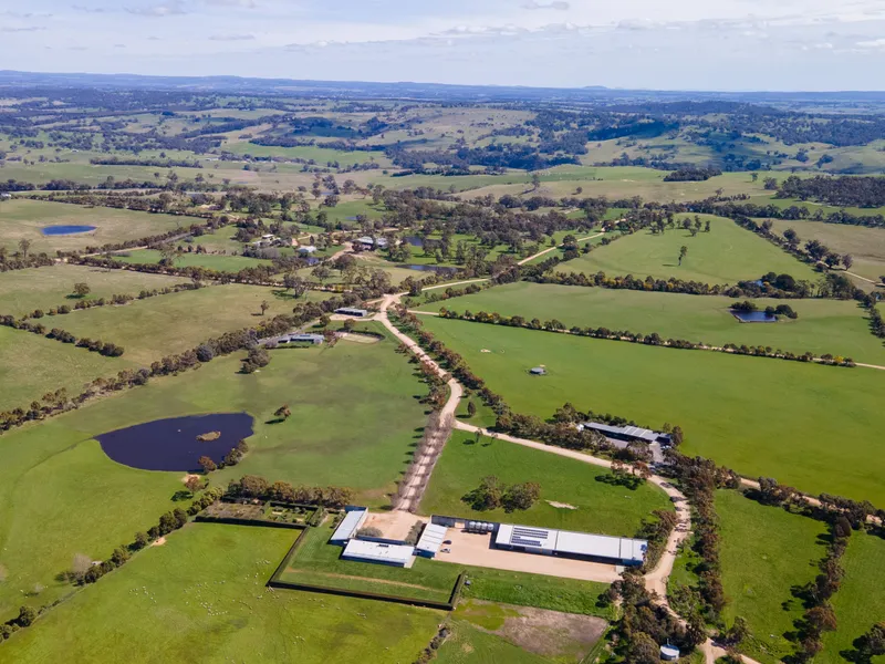‘Avington’ – An elite fully integrated fine wool enterprise