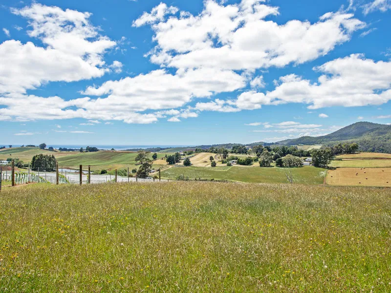 Impressive Acreage & Sweeping Ocean Views Just 10 Mins To Penguin.