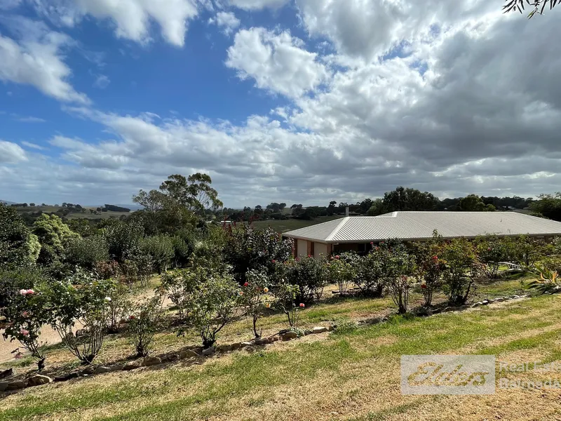 DRESS CIRCLE DREAMING