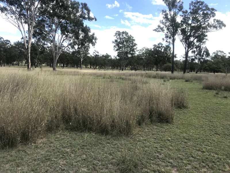 1230 Acres of Grazing Country