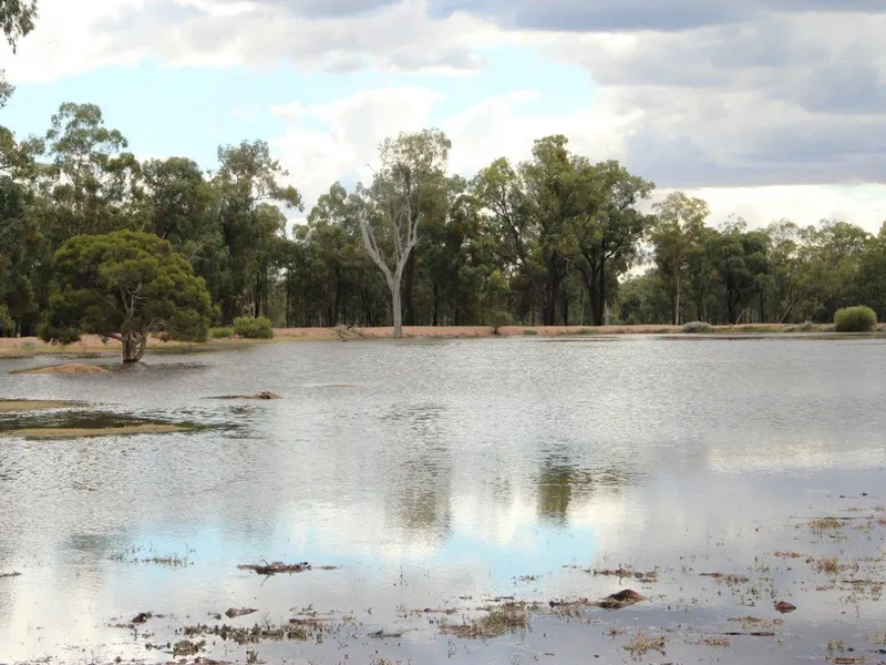Suit passionate horse owners, opportunistic feedlotters and livestock producers. Quiet location.