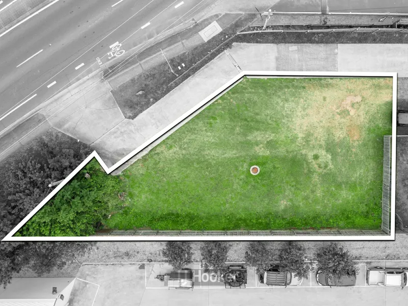 THE LAND OF OPPORTUNITY