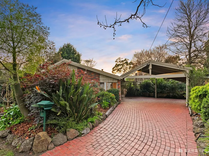 Character rich family entertainer.