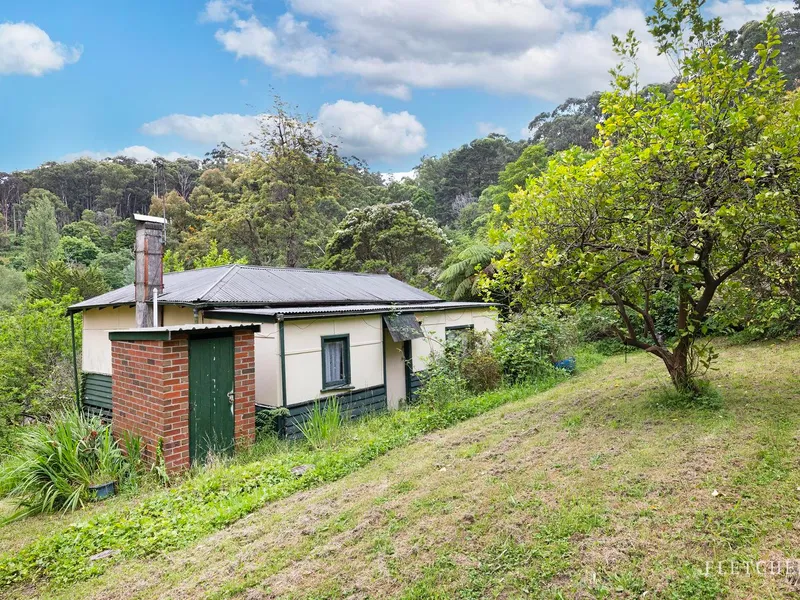 Renovate or Rebuild - You Decide