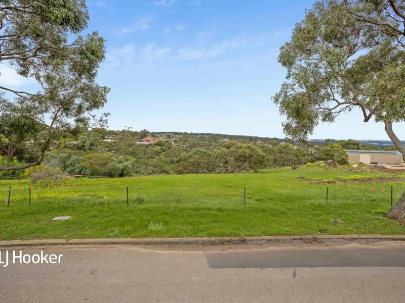 Large Allotments and Premium Location!