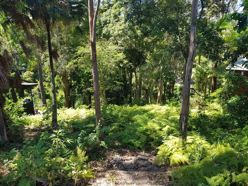 North-facing block in tranquil setting