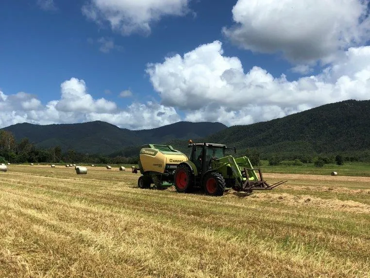 Drought Proofing North Qld - What a Fodder Producer!