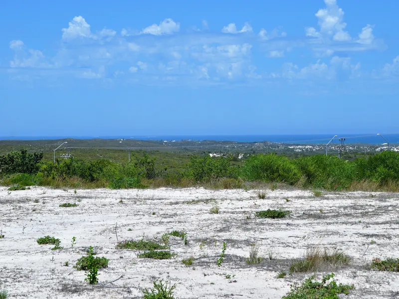 The Million $$$$$$ View . . . . . .