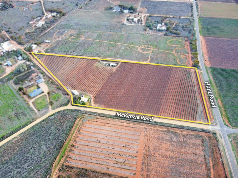 Vineyard Lifestyle with Residence