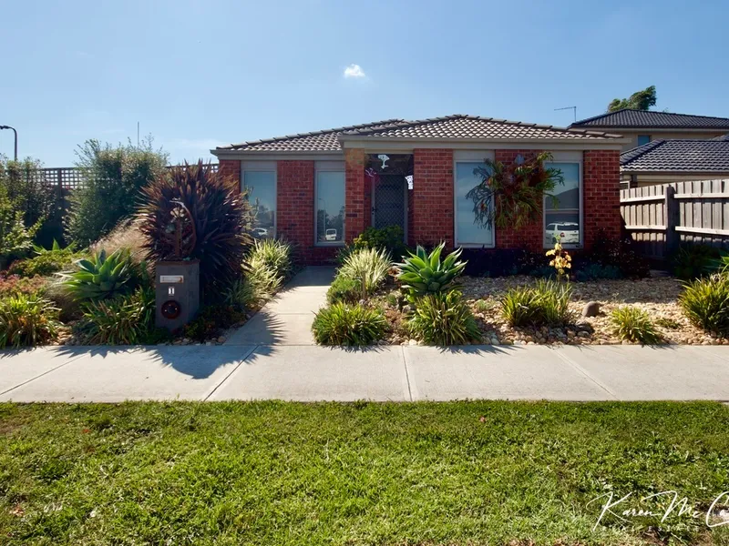 This one has the WOW factor!