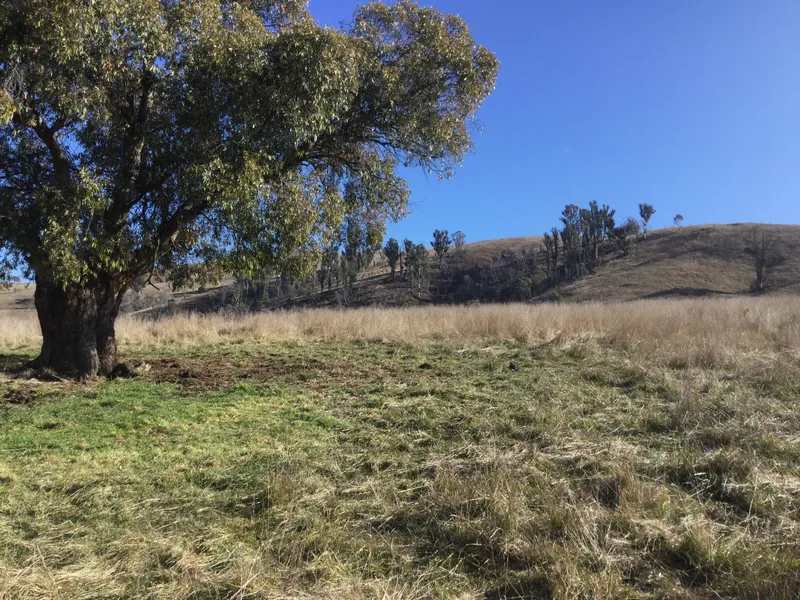 241 Acres Rural Property Cobungra District.