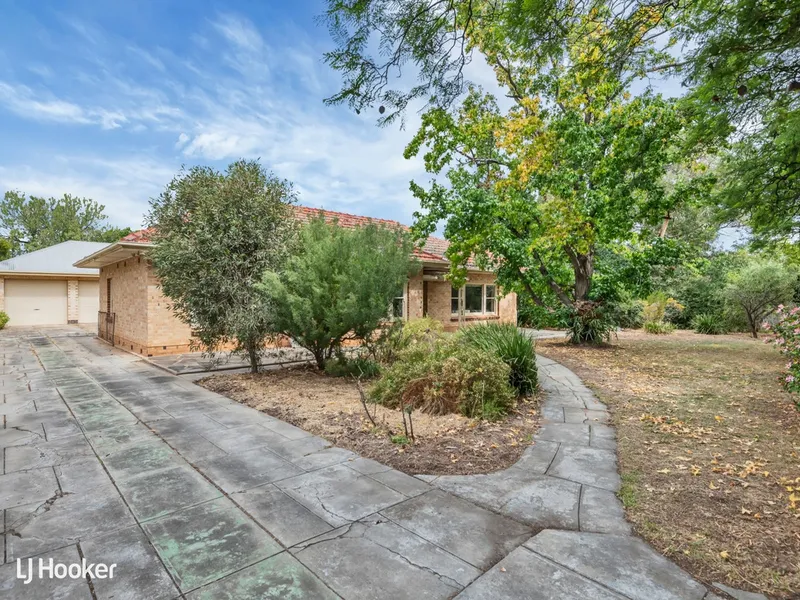 Paradise Found on 1,610sqm (approx.) with 33m+ frontage