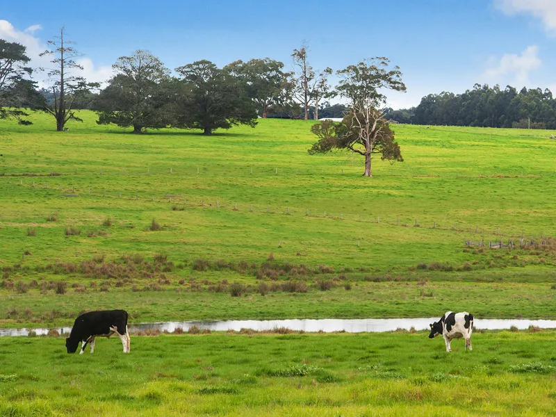 AMAZING GRAZING LAND