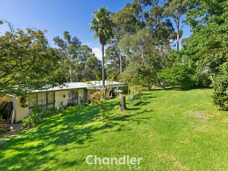 Two Dwellings in Top Location