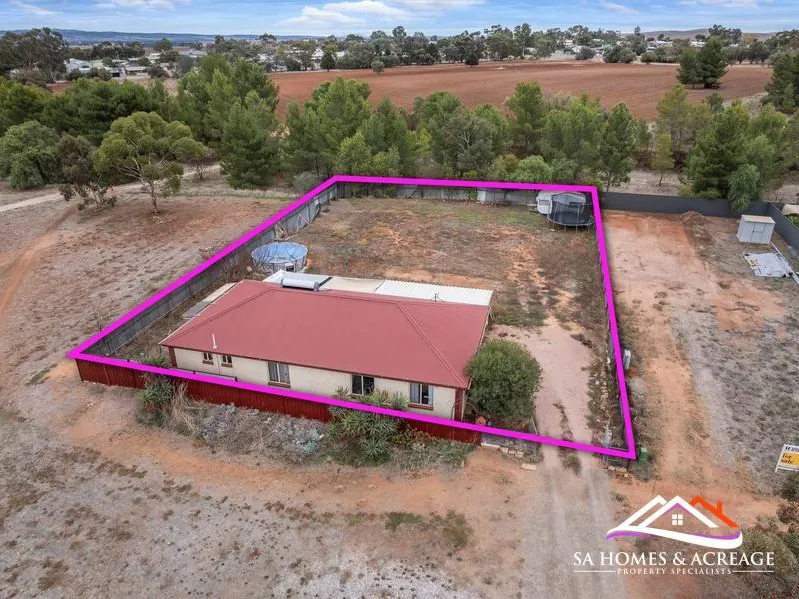 Ripe with potential!