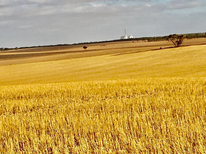 Mixed Farming Opportunity at Wirrulla