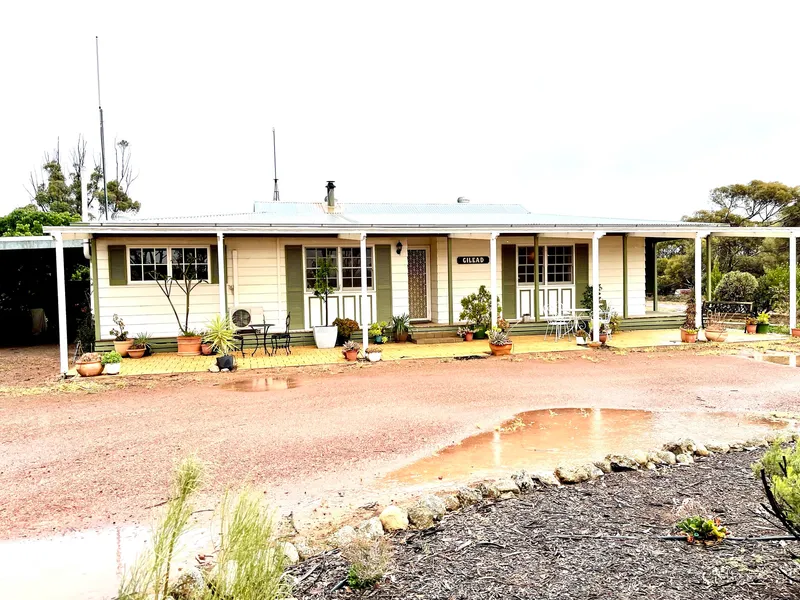 Surprise Oasis on 20 acres close to Wudinna