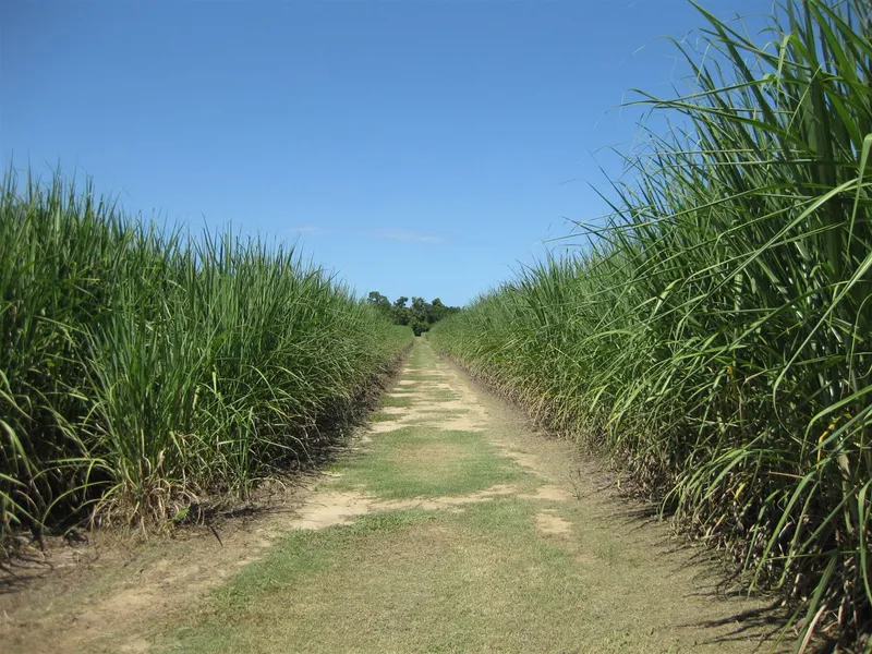 Cane farm, home, shed, crop, machinery, Tully River Frontage