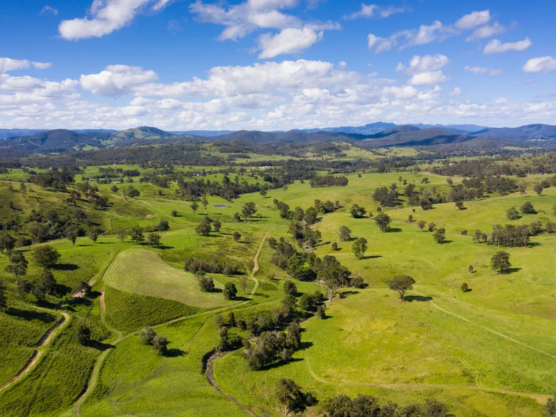 ‘Deep Creek’- Large scale grazing on towns doorstep