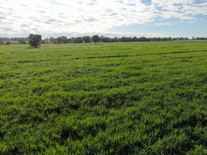 'Glenmore' Burcher NSW 855.6 ha (2,114 acres)