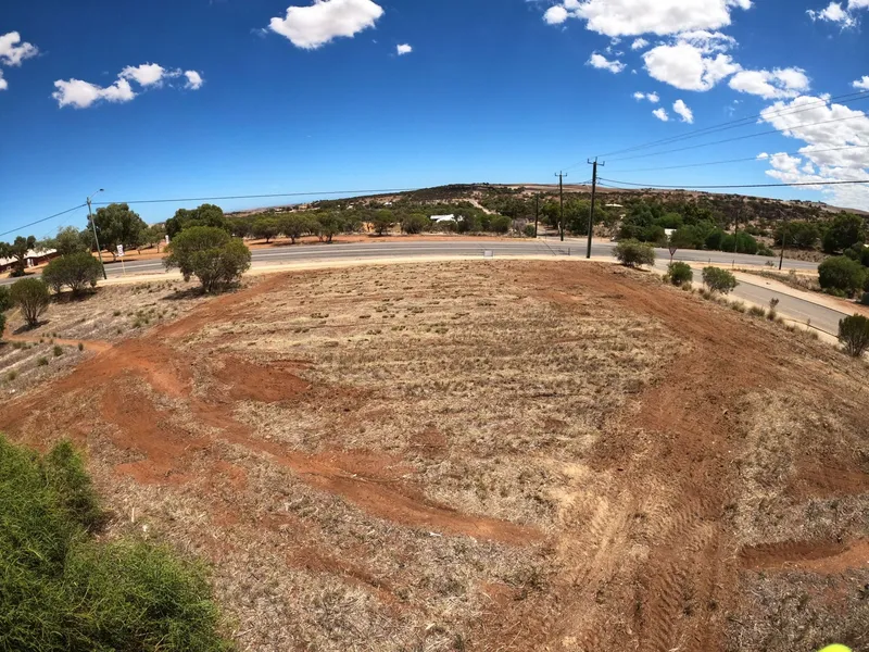 Invest or Nest in the Midwest!