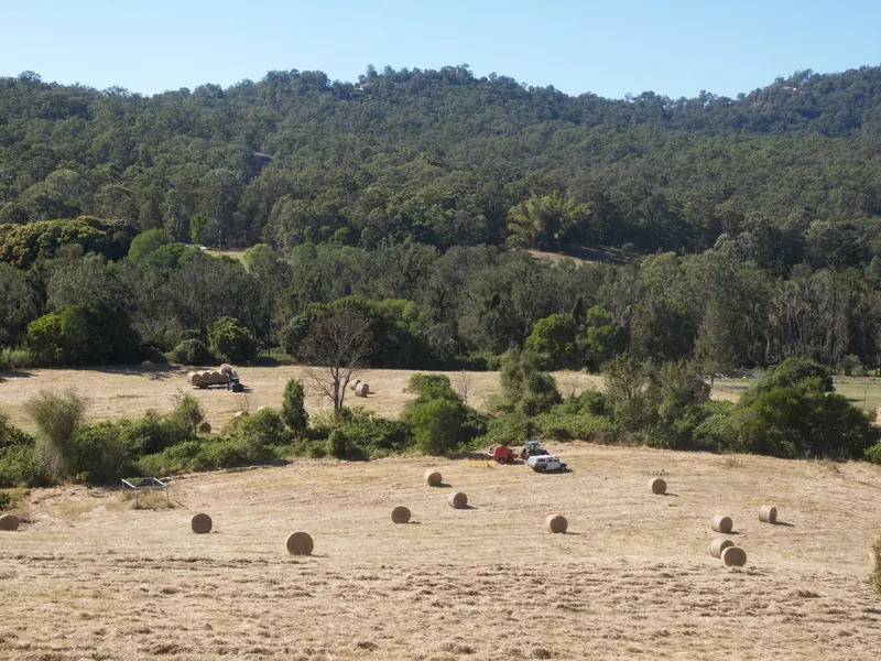 Gold Coast 20 acres Riverfront with 6 brm Farmstay Home