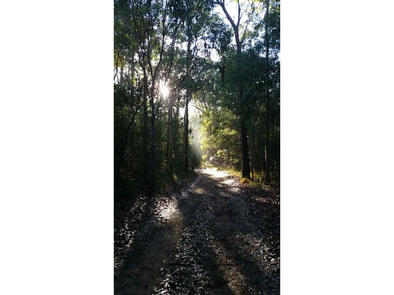 Rainforest Acreage