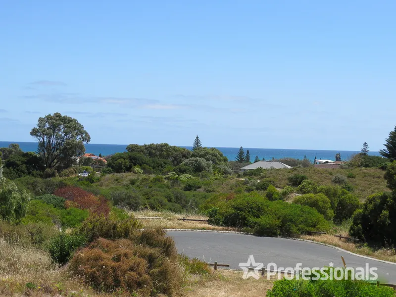Ocean Panorama Over Bush Reserve!
