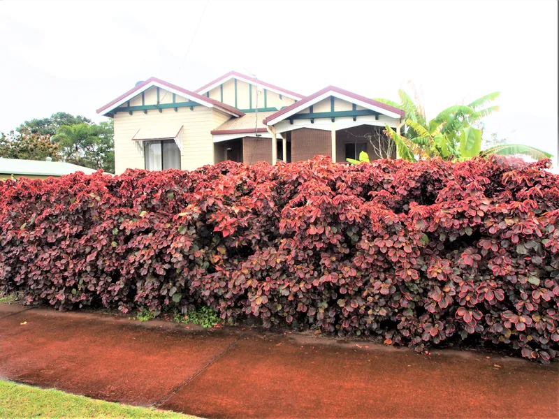 RENOVATE TO YOUR HEARTS CONTENT