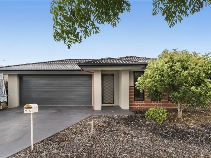 A Perfect Opportunity