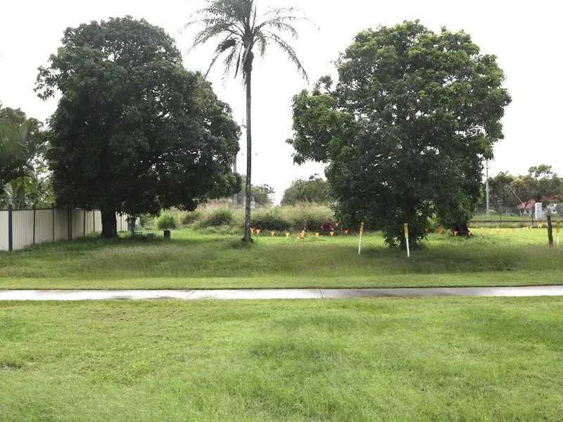 A trains spotters delight