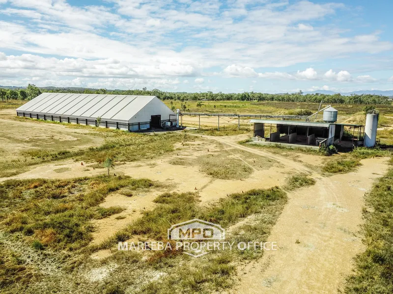 FAR NORTH QLD FEEDLOT