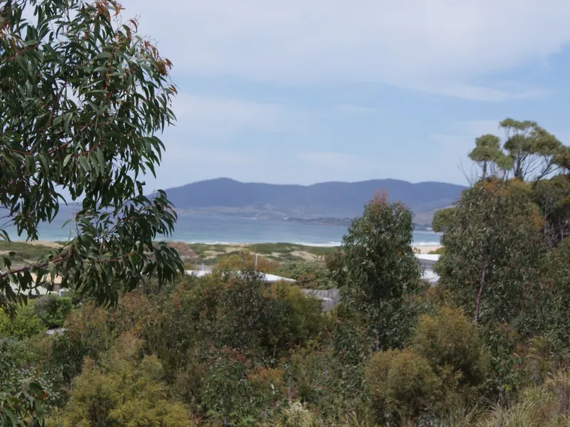 EXCITING NEW SUB-DIVISION